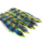 10" Squid Skirt Blue Yellow Stripe - Evolution Lures